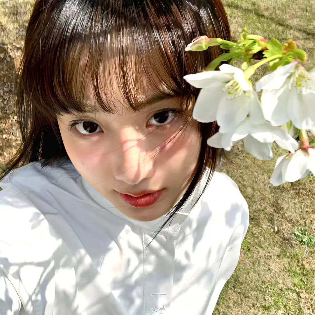惜花芷