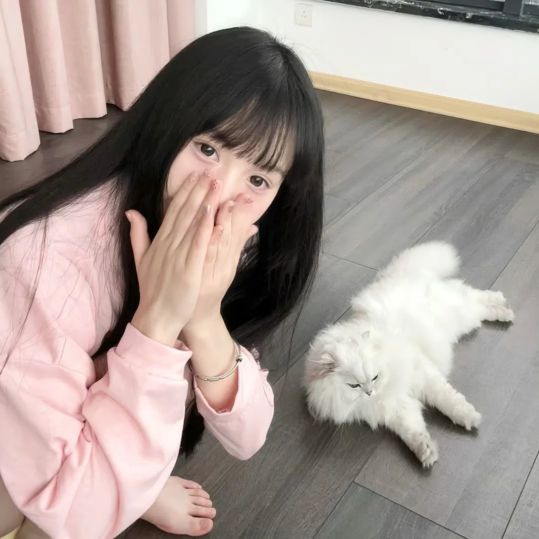 伪装者